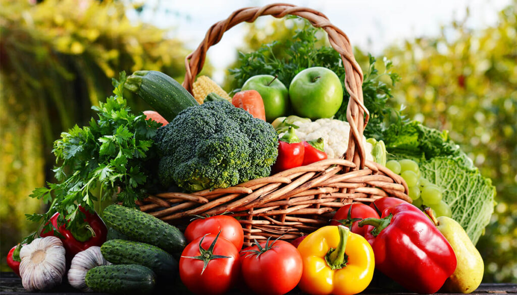 Which month and what kind of vegetable can be cultivated