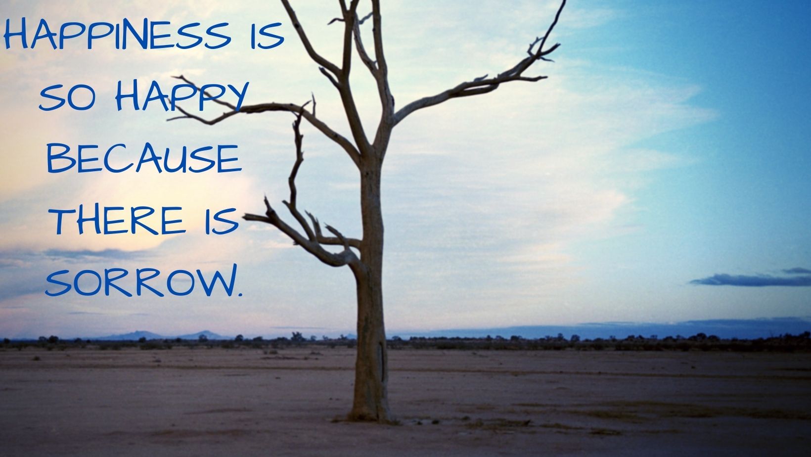 Happiness is so happy because there is sorrow.